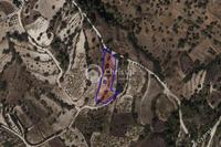 6979 SQM Land · Gerasa (Limassol) for sale 