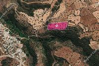21907 SQM Land in Neo Chorio (Paphos) for sale 