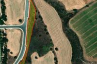 3171 SQM Land in Poli Chrysochous (Paphos) for sale 