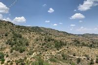 2184 SQM Land · Fterikoudi (Nicosia) for sale 