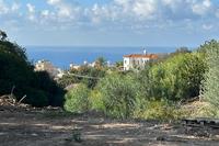 1338 SQM Land · Peyia (Paphos) for sale 