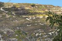 3345 SQM Land in Koilani (Limassol) for sale 