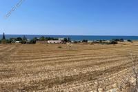 11920 SQM Land in Agios Theodoros Larnacas (Larnaca) for sale 