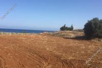 10248 SQM Land in Nea Dimmata (Paphos) for sale 
