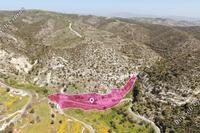 16054 SQM Land · Akoursos (Paphos) for sale 