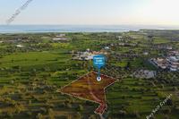 9030 SQM Land in Mazotos (Larnaca) for sale 