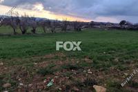 6355 SQM Land in Asgata (Limassol) for sale 