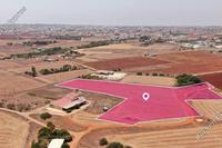 12775 SQM Land in Liopetri (Famagusta) for sale 