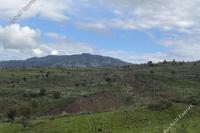5184 SQM Land · Kelokedara (Paphos) for sale 