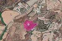 14382 SQM Land in Nata (Paphos) for sale 