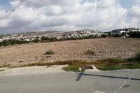 9294 SQM Land in Agia Marinouda (Paphos) for sale 