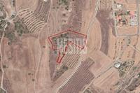 7693 SQM Plot in Nikitari (Nicosia) for sale 