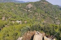 1190 SQM Land in Vavatsinia (Larnaca) for sale 