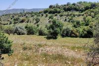 4684 SQM Land · Dora (Limassol) for sale 