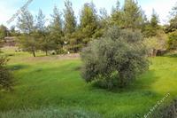 4200 SQM Plot in Kapedes (Nicosia) for sale 