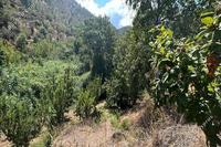 827 SQM Land in Galata (Nicosia) for sale 