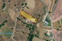 2414 SQM Land · Pyrgos Limassol (Limassol) for sale 