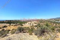 41301 SQM Land · Monagroulli (Limassol) for sale 