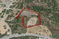 10703 SQM Land in Agios Mamas (Limassol) for sale 