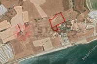 11920 SQM Land in Agios Theodoros Larnacas (Larnaca) for sale 