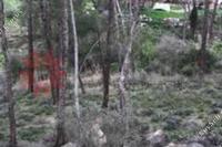 641 SQM Plot in Psevdas (Larnaca) for sale 