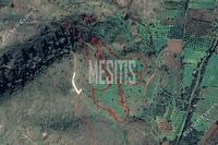 10254 SQM Plot in Pigenia (Nicosia) for sale 