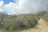 2676 SQM Land · Theletra (Paphos) for sale 