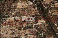 24645 SQM Land · Souni Zanakia (Limassol) for sale 