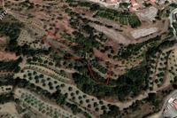 2342 SQM Land in Agioi Vavatsinias (Larnaca) for sale 
