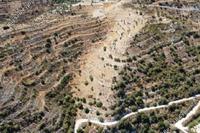 16723 SQM Land in Agios Therapon (Limassol) for sale 