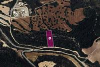 2845 SQM Land · Kritou Tera (Paphos) for sale 