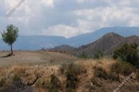 11372 SQM Land · Linou (Nicosia) for sale 