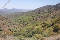 6020 SQM Land in Agioi Vavatsinias (Larnaca) for sale 