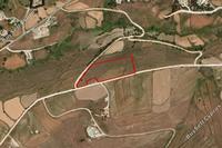12312 SQM Land in Kato Arodes (Paphos) for sale 
