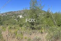 2620 SQM Land · Pera Pedi (Limassol) for sale 