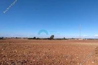 3718 SQM Land · Xylofagou (Larnaca) for sale 