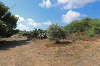 1888 SQM Land · Protaras (Famagusta) for sale 