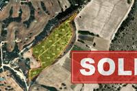 18730 SQM Land in Psematismenos (Larnaca) for sale 