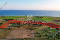 32108 SQM Land in Mazotos (Larnaca) for sale 