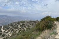 13044 SQM Land in Prastio (Paphos) for sale 