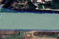 8935 SQM Plot · Meneou (Larnaca) for sale 