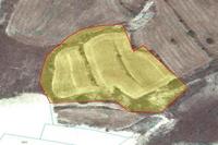 8299 SQM Land in Pera Orinis (Nicosia) for sale 