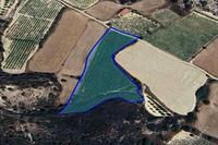 7693 SQM Plot in Pissouri (Limassol) for sale 