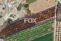 4708 SQM Land · Nikokleia (Paphos) for sale 