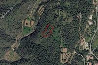 4014 SQM Land in Kampia (Nicosia) for sale 