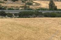 6894 SQM Land · Latsia (Nicosia) for sale 