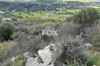 13960 SQM Land · Steni (Paphos) for sale 