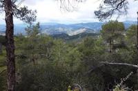 6021 SQM Land · Prodromos (Limassol) for sale 