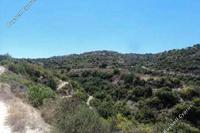 15441 SQM Land · Koili (Paphos) for sale 