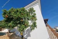 3 Bedroom Detached house in Acheleia (Paphos) to rent 
